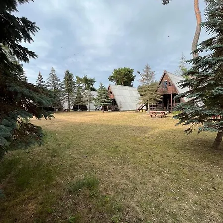 Деревянный коттедж Sloneczna Osada Дзивновек