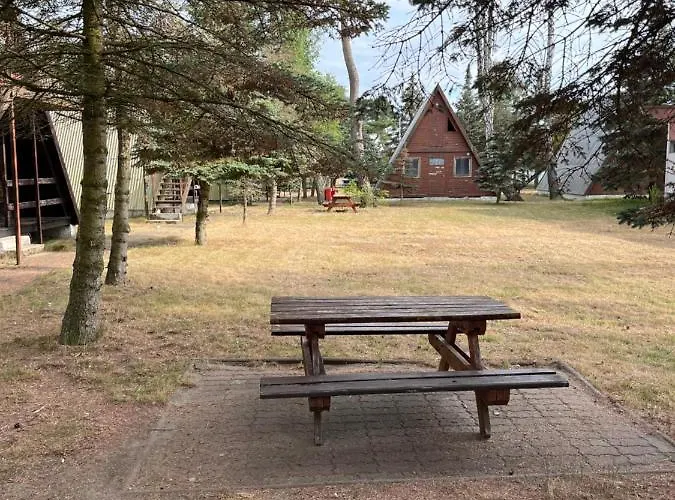 Orman Evi Sloneczna Osada